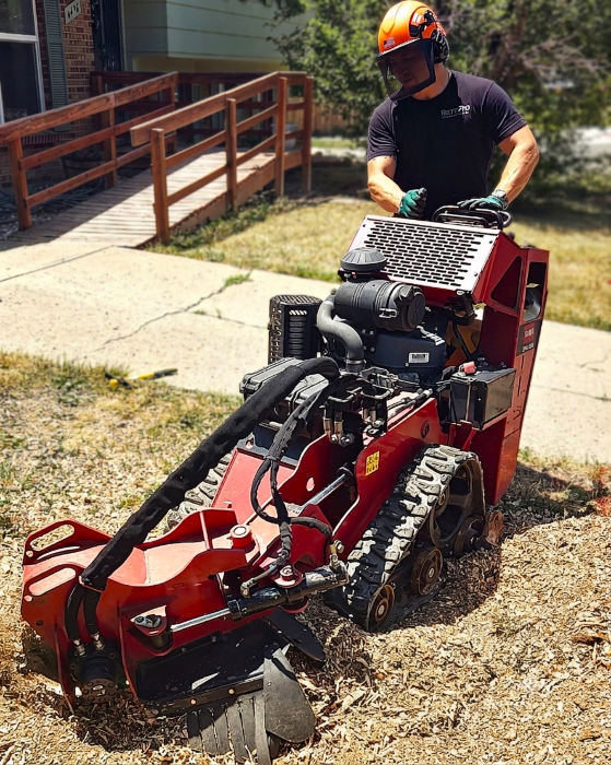 TerraPro Stump Grinding crew at work