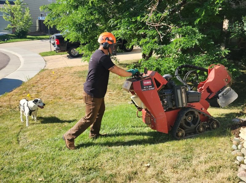 Rocco Petramala, owner of TerraPro Stump Grinding