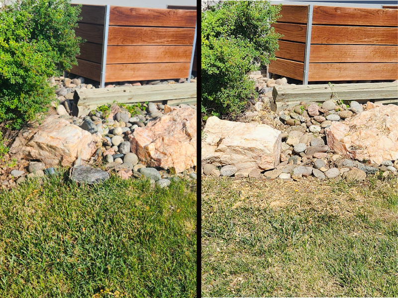 Side-by-side comparison of a stump before and after grinding