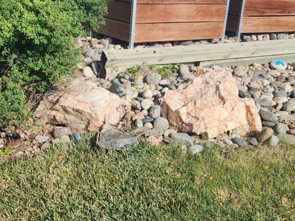 Before: Small stump along landscaping